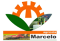 AGRICOLA MARCELO