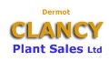 Dermot Clancy Plant Sales Ltd
