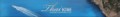 บริษัท ไทย-กีวี มารีน จำกัด / Thai-Kiwi Marine Co., Ltd.