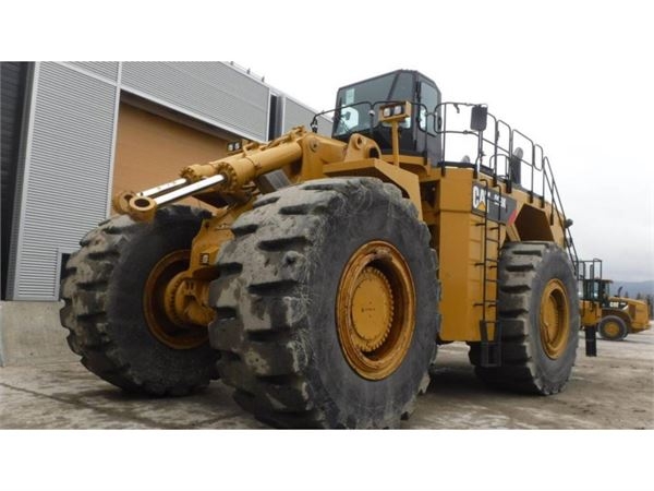 Pale gommate caterpillar stock