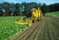 ROPA e-T V8-3 (PBSh 45+PRh45), Кормоуборочные комбайны, Сельхозтехника