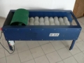 Kiváló minőségű Nilson kefés tisztító, burgonyához kefés tisztító, kefe, dörzstisztító, kefélőgép,, Egyéb mezőgazdasági gépek, Mezőgazdasági gépek