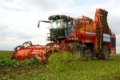 Holmer T3, Häcksler mit Selbstantrieb, Landmaschinen