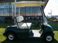 Yamaha G19E, Masinute Golf, Masini speciale