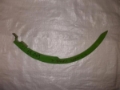 Rivierre Casalis Ace ref. 59.069 piese presa de balotat、其他收获机械、农业机械