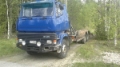 Sisu 300, Other trucks, Transportation