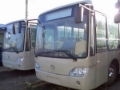 [Other] Youyi ZGT6832DH, Autocarro urbano, Transporte