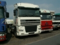 DAF 95 XF 480, Tractor unit 4x2, Transportation