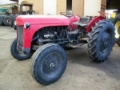 Massey Ferguson Ciągnik rolniczy FERGUSON TE F, Тракторы  40-59 л. с. , Сельхозтехника