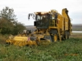 Ropa e-T V8-3, Кормоуборочные комбайны, Сельхозтехника