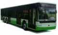 [Other] Bogdan A80110 (city bus), Міські автобуси, Транспорт