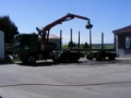 MERCEDES actros 3354, Drugo, Gozdarstvo
