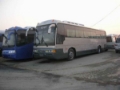 SSANGYONG Transstar, Туристические автобусы, Транспорт
