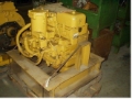 Cat transmission no. 4, Transmission, Forestry