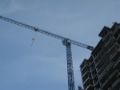 Linden Comannsa 10LC110, Башенные краны, Строительная техника