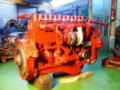 Renault MIDR 062045, Motores, Transporte