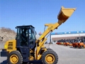 CAISE ZL16, Фронтальні навантажувачі, Будтехніка