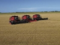 Case IH IH 8120, Зерноуборочные комбайны, Сельхозтехника