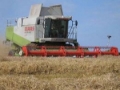 Claas 480 Lexion, Kombajni, Poljoprivreda