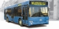 MAZ 103462, Городские автобусы , Транспорт