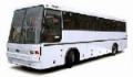 MAZ 152А62, Междугородные автобусы , Транспорт