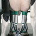 WestfaliaSurge GEA Farm Technologies, 其他農業機械, 農業機械