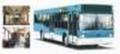 МАЗ 103С, Міські автобуси, Транспорт