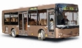 МАЗ 226060, Autobus urbain, Transport