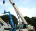 Terex BENDINI RT35, Gru mobili, Costruzioni