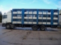 DAF 95 380 Ati, Livestock trucks, Trucks and buses
