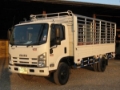 Isuzu NPR, Άλλα Φορτηγά, Μεταφορές