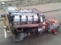 MAN 18.256, Engines, Transportation