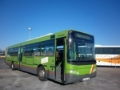 Scania LO 94, Yolcu otobüsleri, Ağır Vasıtalar