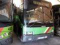 Scania LO 94, Yolcu otobüsleri, Ağır Vasıtalar