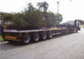 Payloader 50-ton lowbed folding gooseneck semi trailer, Flatbed/Dropside semi-trailers, Transportation