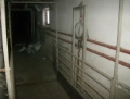 Bjerringbro 500 kg, Other livestock machinery and accessories, Farming