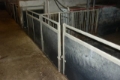 [Other] Staldenventar, Sdr. Vising, Other livestock machinery and accessories, Farming