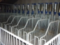 [Other] Farestier Langkær, Other livestock machinery and accessories, Farming