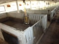 [Other] Thisted betoninventar 20 stier, 零組件, 農業機械