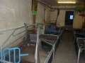 [Other] Staldanlæg til 90 søer, Other livestock machinery and accessories, Farming
