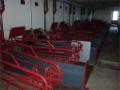 [Other] Egebjerg farestier 140 stk., Other livestock machinery and accessories, Farming