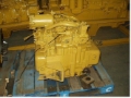 CAT transmission no. 3, Menjalnik, Gozdarstvo