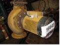 Grundfoss pump, Pumper, Have & Park