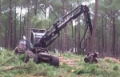 Logset 8H, Disboscatrici, Foreste