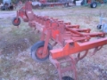 FMA 17 tands, Grades, Agricultura