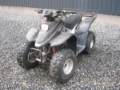 鼎力 100 cc、沙滩车、农业机械