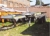 Used 6m Skeletal Trailer, รถพ่วงโครงเหล็ก, เครื่องจักรงานขนส่ง