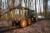 Timberjack 1010D, Форвардери, Лісозаготівля
