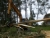 Lako Forest Lako 63, Harvester heads, Forestry