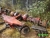 Kalmar Cummins ZF gearbox + axels, Iné, Manipulácia s materiálmi